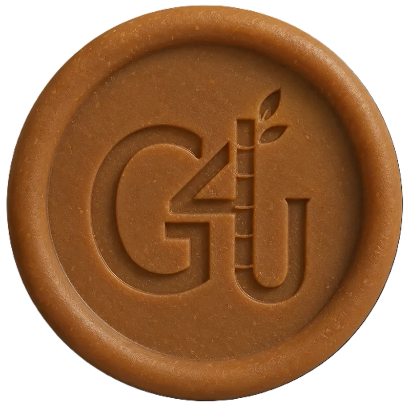 Gudiva organic jaggery coin